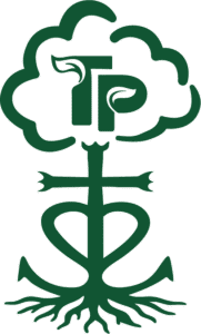 TILLOI Paysagiste