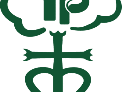 TILLOI Paysagiste