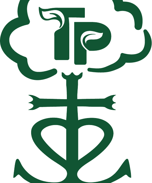 TILLOI Paysagiste